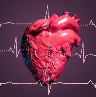 New Research Shows Strong Support for AI in Preventive Cardiac Screening