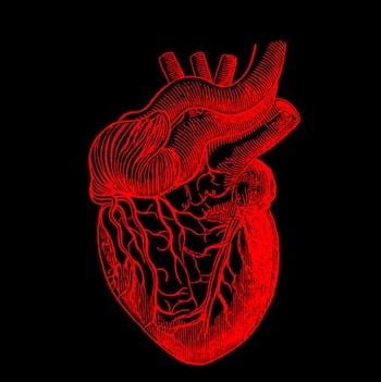 Research Shows AI-Enabled Digital Stethoscopes More Effective Detecting Valvular Heart Disease