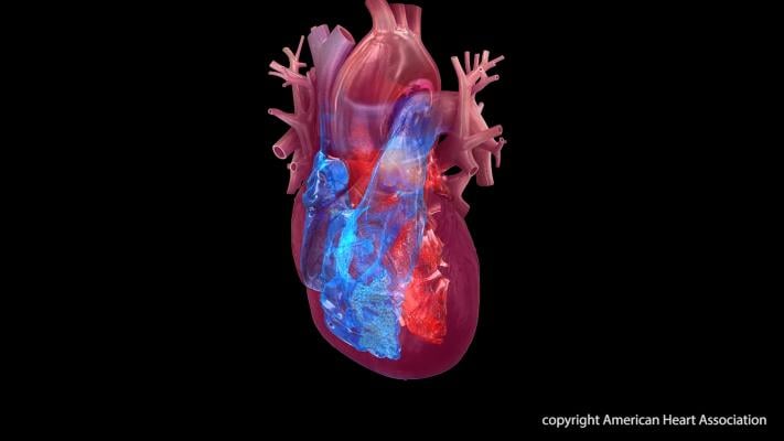 Artificial intelligence (AI) and deep learning models may help to predict the risk of cardiovascular disease events and detect heart valvular disease, according to two preliminary research studies. 