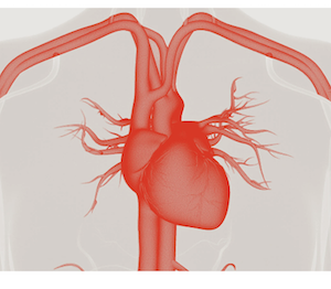 electrophysiology, AI, imaging