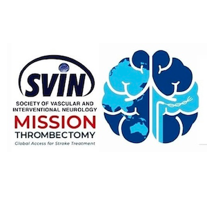 Global Leaders Meet to DIscuss Equitable Access to Life-Saving Mechanical Thrombectomy, Acute Stroke Care