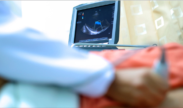 Artificial intelligence is becoming best practice to support clinical decisions and help standardize echocardiography analysis for practices. AI, trained on millions of outcome-based data, can provide automation for operators to obtain highly accurate and precise measurements, to better detect and predict cardiovascular disease.