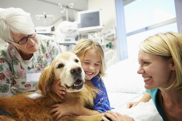 pediatric echocardiograms, cardiovascular ultrasound, therapy dog impact, animal-assisted therapy, Human Animal Bond Research Initiative, HABRI