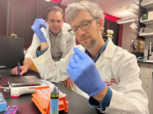Alex Carll, assistant professor in the UofL Department of Physiology, front, with Matthew Nystoriak, associate professor of medicine. (UofL Photo) 
