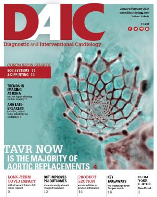 The January-February 2021 digital issue of DAIC magazine. Dave Fornell is the editor