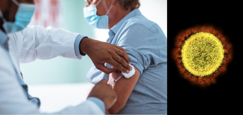 Vaccinating patients against the flu can go a long way to helping cardiology patients stay healthy and out of the hospital during the COVID-19 pandemic, freeing up beds for COVID patients. Left photo, Getty Images, right image of COVID-19 virus from the NIH.