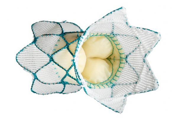 The Medtronic Harmony Transcatheter Pulmonary Valve (TPV) System. It is first in the world non-surgical heart valve to treat pediatric and adult patients with a native or surgically-repaired right ventricular outflow tract (RVOT) to stop severe pulmonary valve regurgitation caused by congenital heart disease. 