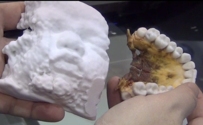 Two more examples of printed sculptures from Vidar Systems/3D Systems dZ Printer 450, showing a fetal face ultrasound and an upper jaw.