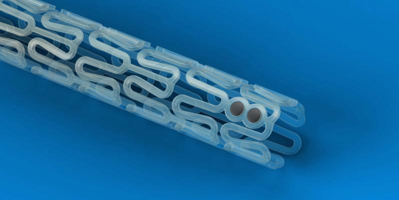 Absorb, bioresorbable stents