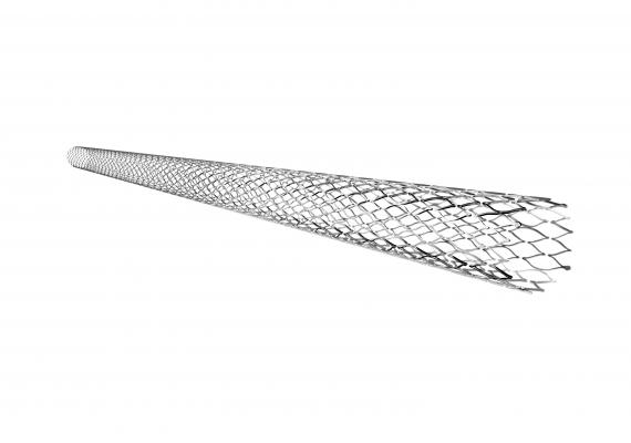 Covidien's EverFlex stent is one of the most recent cleared by the FDA.