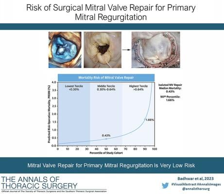 Leakage of the mitral valve due to degenerative prolapse is a common condition known as primary mitral regurgitation (MR). 