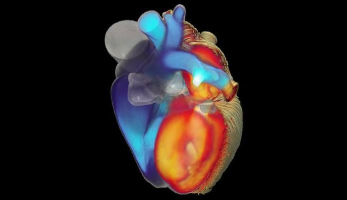The results of the iHEART project have been published in the prestigious journal 'Nature Scientific Reports' 