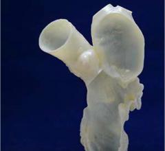 RSNA and ACR to Collaborate on Landmark Medical 3D Printing Registry