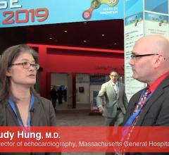 Judy Hung, M.D., speaking with DAIC Editor Dave Fornell during a video interview at the 2019 American Society of Echocardiography (ASE) annual meeting. Hung took over as ASE President in June.