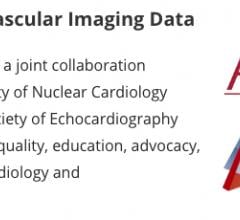 he American Society of Nuclear Cardiology (ASNC) and the American Society of Echocardiography (ASE) announced the Centers for Medicare and Medicaid Services (CMS) have approved the ImageGuide Registry as a Qualified Clinical Data Registry (QCDR) for 2020.