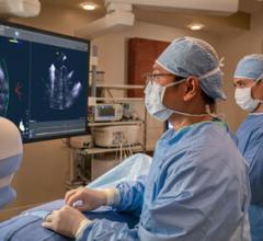 Biosense Webster Study Supports Low and Zero Fluoroscopy Workflow as Safe, Effective Alternative to Conventional Catheter Ablation  