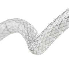 The Gore VBX FORWARD Clinical Study aims to compare the VBX Stent Graft primary patency to bare metal stenting to evaluate superiority in treating complex iliac occlusive disease 