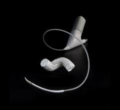 Gore Receives FDA Approval for Gore Tag Conformable Thoracic Stent Graft