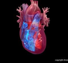 Artificial intelligence (AI) and deep learning models may help to predict the risk of cardiovascular disease events and detect heart valvular disease, according to two preliminary research studies. 