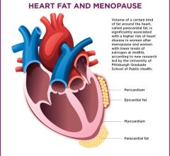Hormone Therapy Linked to Heart Fat, Hard Arteries