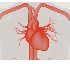 electrophysiology, AI, imaging
