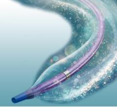 In accordance with its commitment to patient safety, Medtronic recently voluntarily recalled a subset of its IN.PACT Admiral and IN.PACT AV Paclitaxel-coated Percutaneous Transluminal Angioplasty (PTA) balloon catheters due to the potential for pouch damage resulting in a loss of sterility.