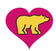 heart transplant, pediatric cardiology