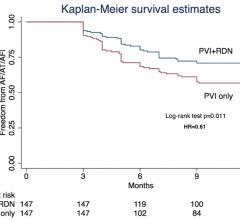 The ERADICATE-AF Trial combined pulmonary vein isolation with renal denervation therapy and showed imporve outcomes.