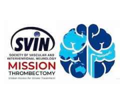 Global Leaders Meet to DIscuss Equitable Access to Life-Saving Mechanical Thrombectomy, Acute Stroke Care