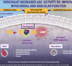 Patients with worsening heart failure and reduced ejection fraction who received the investigational drug vericiguat had a significantly lower rate of cardiovascular death or heart failure hospitalization compared with those receiving a placebo, based on research presented at the American College of Cardiology’s Annual Scientific Session Together with World Congress of Cardiology (ACC.20/WCC) #ACC20/#WCCardio