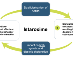 New Patent Adds to the Istaroxime Patent Estate and Provides Intellectual Property Protection Until Late 2039 