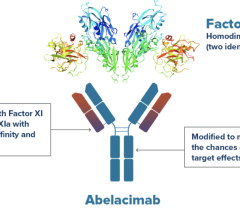 Abelacimab, a Dual-Acting Factor XI / XIa Inhibitor, Demonstrated an Unprecedented Reduction in Bleeding in the Largest and Longest Head-toHead Study Comparing a Factor XI Inhibitor to a DOAC 