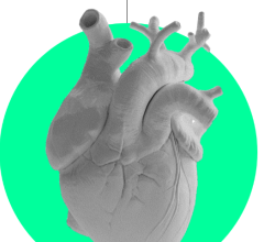 Peer-Reviewed Study: Novice Users Acquire Diagnostic-Quality Cardiac Ultrasound Images With AI Guidance