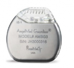 The Angel Medical Systems' AngelMed Guardian System is an implantable cardiac monitor intended to detect and alert patients of a potential heart attack. 