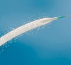 New Twelve-Month Data Show Efficacy of Pulsar-18 Bare Metal Stent