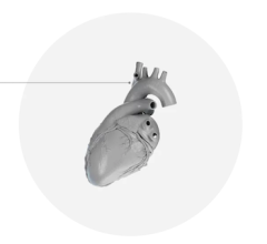 Circle Cardiovascular Releases Latest Version of Unified Cardiac Imaging Platform