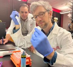Alex Carll, assistant professor in the UofL Department of Physiology, front, with Matthew Nystoriak, associate professor of medicine. (UofL Photo) 