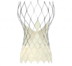 Medtronic Corevalve Evolut Pro, TAVR system