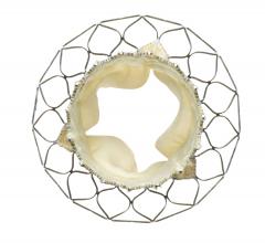 CoreValve, high risk study, TAVR, Medtronic, ACC