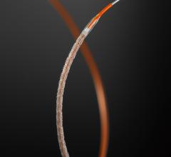 abbott Xience Xpedition stent