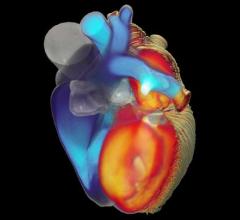 The results of the iHEART project have been published in the prestigious journal 'Nature Scientific Reports' 