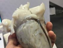 A 3-D printed heart from a patient CT scan used for structural heart procedure planning and education displayed by Materialise. #TCT2019 #TCT #TCT19
