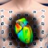 FDA, cardiac mapping, ep lab
