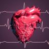 New Research Shows Strong Support for AI in Preventive Cardiac Screening