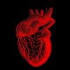 Research Shows AI-Enabled Digital Stethoscopes More Effective Detecting Valvular Heart Disease