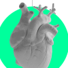 heart pump, 