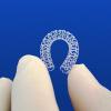 Amaranth Medical Bioresorbable Scaffold, Fortitude stent