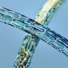 Biotronik's Osiro stent, prison IV trial 