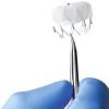 Data was positive from the Watchman Left Atrial Appendage Closure (LAAC) Device from the EWOLUTION registry 