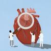 cardiologist 